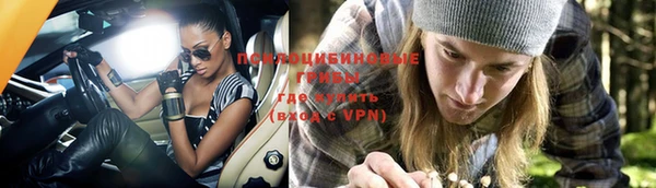 ГАЛЛЮЦИНОГЕННЫЕ ГРИБЫ Абинск