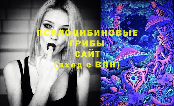 jwh Абаза