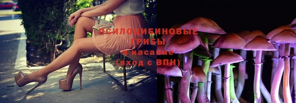 ГАЛЛЮЦИНОГЕННЫЕ ГРИБЫ Абинск