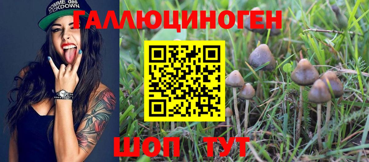 Псилоцибиновые грибы GOLDEN TEACHER  Галлюциногенные грибы GOLDEN TEACHER  Вход с VPN  Скопин 