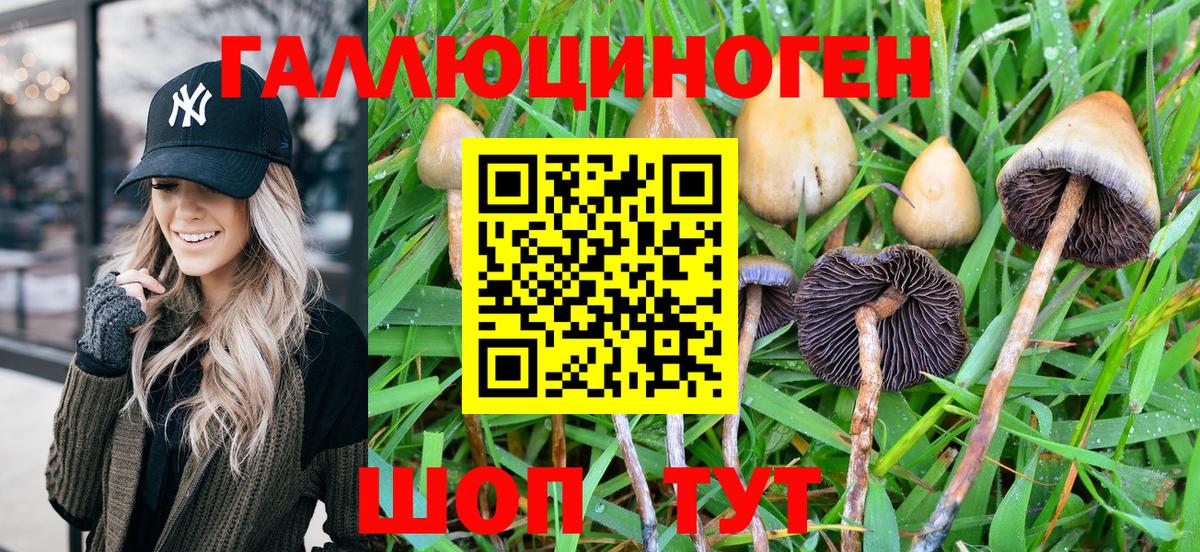 Псилоцибиновые грибы MAGIC MUSHROOMS Скопин